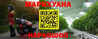 спиды Новодвинск
