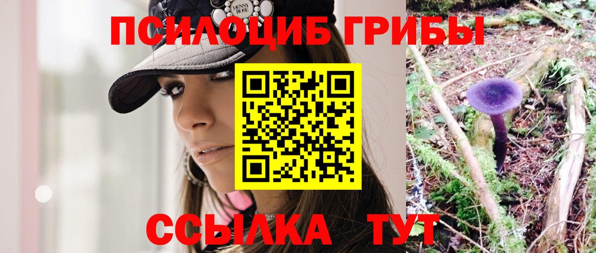 Галлюциногенные грибы Psilocybine cubensis Узловая
